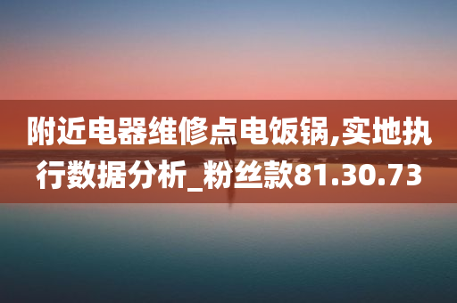 附近电器维修点电饭锅,实地执行数据分析_粉丝款81.30.73