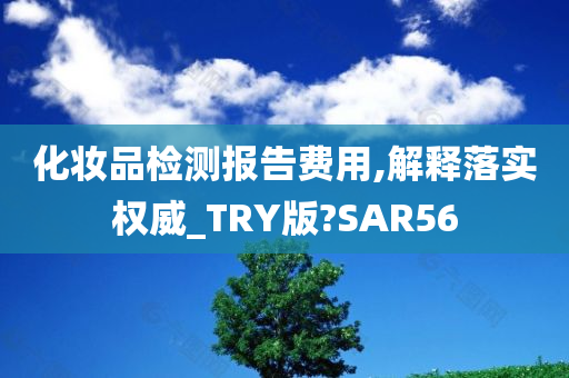 化妆品检测报告费用,解释落实权威_TRY版?SAR56