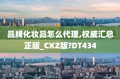 品牌化妆品怎么代理,权威汇总正版_CXZ版?DT434