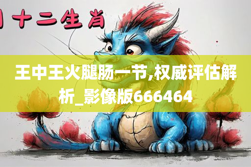 王中王火腿肠一节,权威评估解析_影像版666464