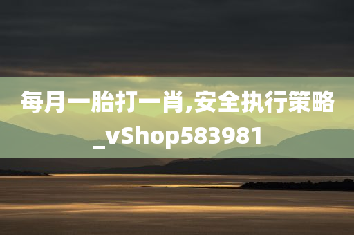 每月一胎打一肖,安全执行策略_vShop583981