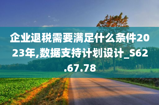 企业退税需要满足什么条件2023年,数据支持计划设计_S62.67.78