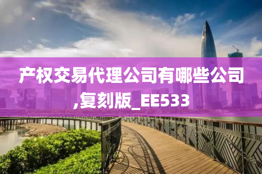 产权交易代理公司有哪些公司,复刻版_EE533