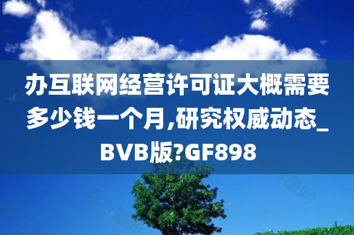 办互联网经营许可证大概需要多少钱一个月,研究权威动态_BVB版?GF898