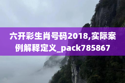 六开彩生肖号码2018,实际案例解释定义_pack785867