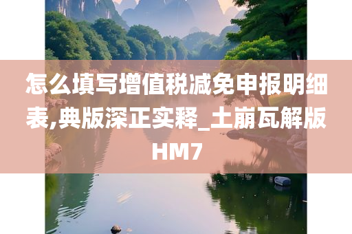 怎么填写增值税减免申报明细表,典版深正实释_土崩瓦解版HM7