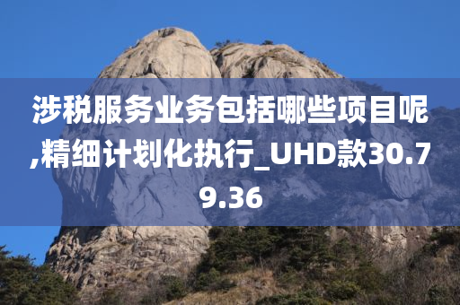 涉税服务业务包括哪些项目呢,精细计划化执行_UHD款30.79.36