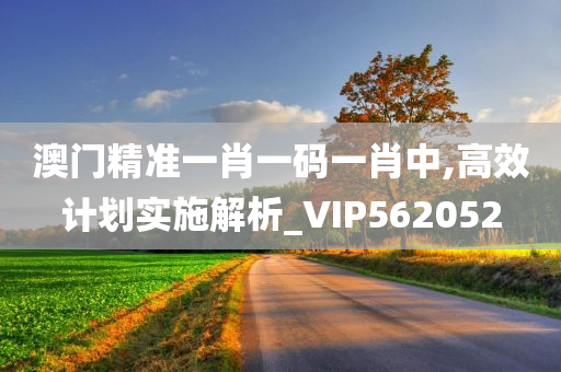 澳门精准一肖一码一肖中,高效计划实施解析_VIP562052