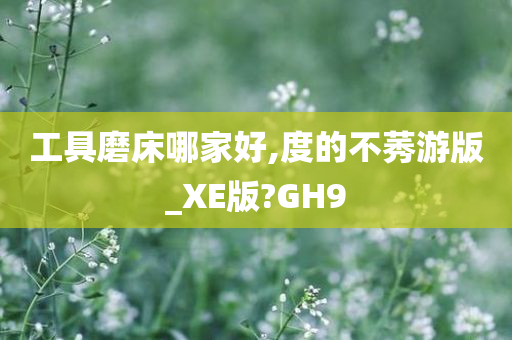 工具磨床哪家好,度的不莠游版_XE版?GH9