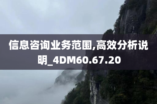 信息咨询业务范围,高效分析说明_4DM60.67.20