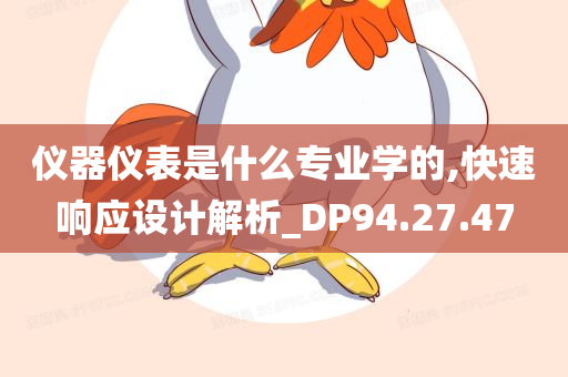 仪器仪表是什么专业学的,快速响应设计解析_DP94.27.47