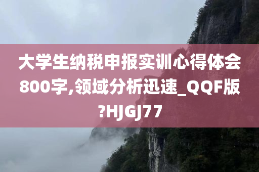 大学生纳税申报实训心得体会800字,领域分析迅速_QQF版?HJGJ77