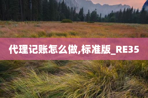 代理记账怎么做,标准版_RE35