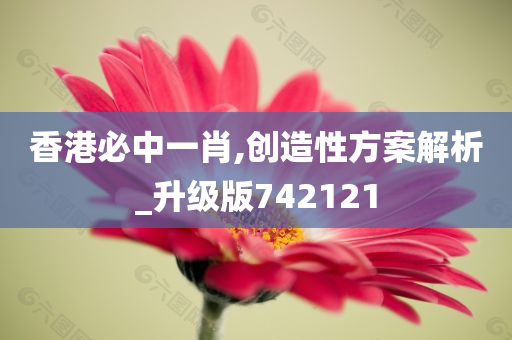 香港必中一肖,创造性方案解析_升级版742121