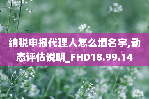 纳税申报代理人怎么填名字,动态评估说明_FHD18.99.14