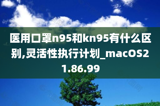 医用口罩n95和kn95有什么区别,灵活性执行计划_macOS21.86.99