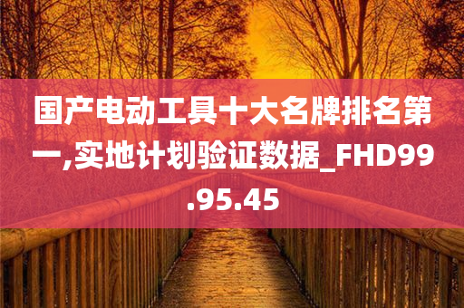 国产电动工具十大名牌排名第一,实地计划验证数据_FHD99.95.45