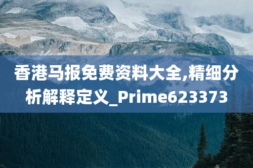 香港马报免费资料大全,精细分析解释定义_Prime623373