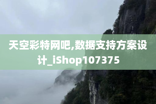 天空彩特网吧,数据支持方案设计_iShop107375