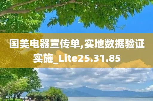 国美电器宣传单,实地数据验证实施_Lite25.31.85