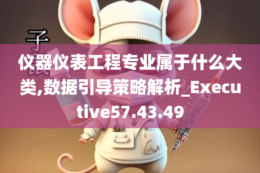 仪器仪表工程专业属于什么大类,数据引导策略解析_Executive57.43.49