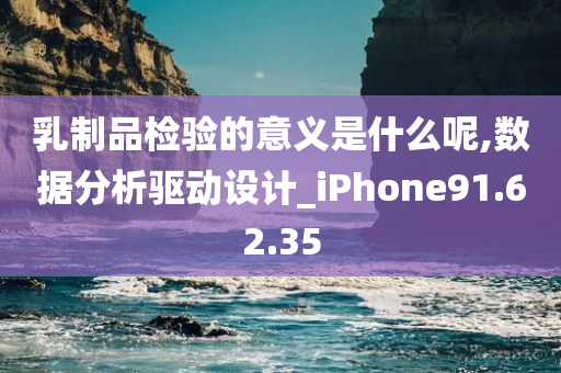 乳制品检验的意义是什么呢,数据分析驱动设计_iPhone91.62.35