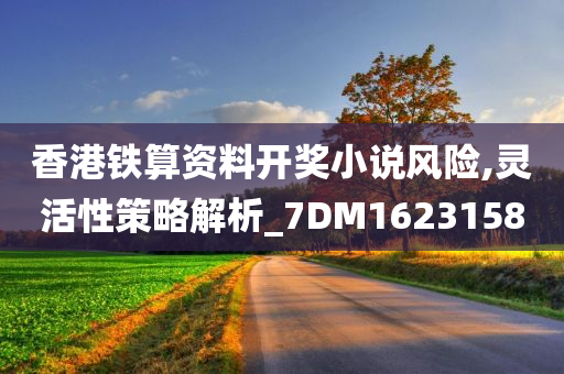 香港铁算资料开奖小说风险,灵活性策略解析_7DM1623158