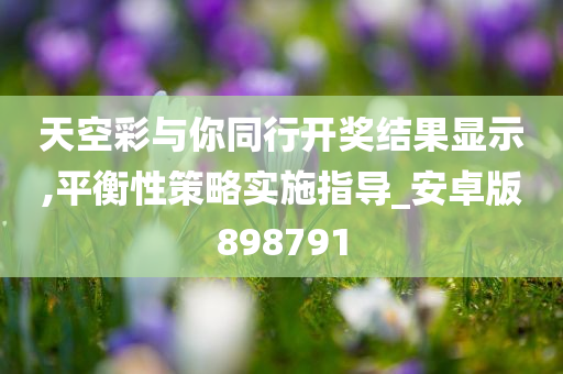 天空彩与你同行开奖结果显示,平衡性策略实施指导_安卓版898791