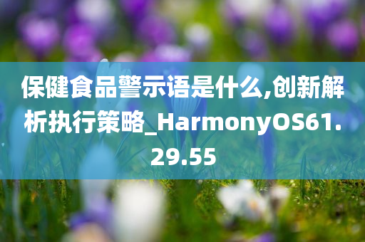 保健食品警示语是什么,创新解析执行策略_HarmonyOS61.29.55