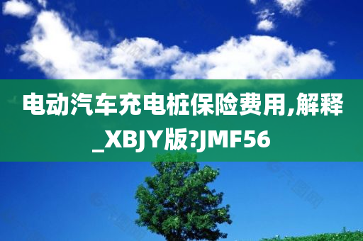 电动汽车充电桩保险费用,解释_XBJY版?JMF56