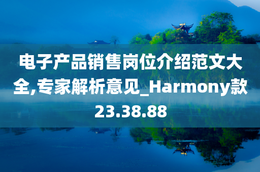 电子产品销售岗位介绍范文大全,专家解析意见_Harmony款23.38.88