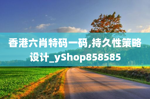 香港六肖特码一码,持久性策略设计_yShop858585