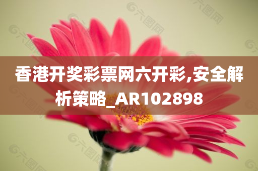 香港开奖彩票网六开彩,安全解析策略_AR102898