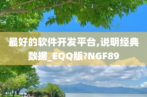 最好的软件开发平台,说明经典数据_EQQ版?NGF89