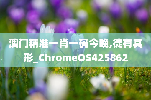 澳门精准一肖一码今晚,徒有其形_ChromeOS425862