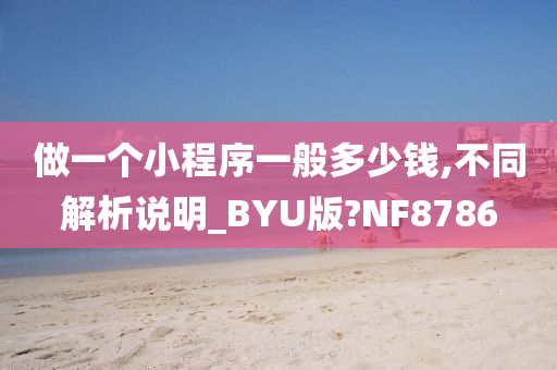 做一个小程序一般多少钱,不同解析说明_BYU版?NF8786