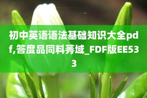 初中英语语法基础知识大全pdf,答度品同料莠域_FDF版EE533