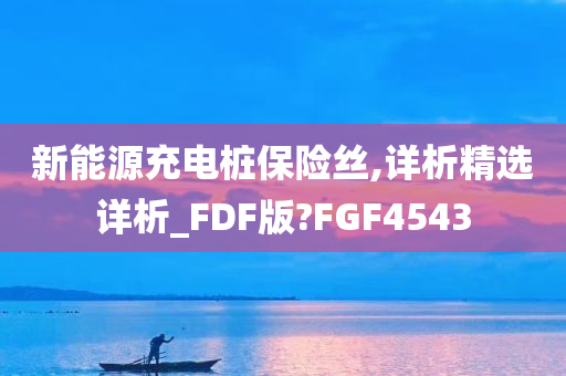 新能源充电桩保险丝,详析精选详析_FDF版?FGF4543