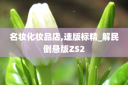 名妆化妆品店,速版标精_解民倒悬版ZS2