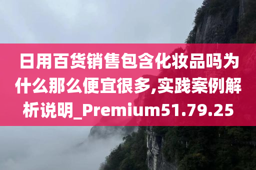 日用百货销售包含化妆品吗为什么那么便宜很多,实践案例解析说明_Premium51.79.25