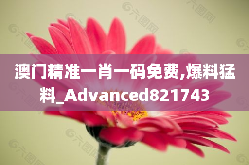 澳门精准一肖一码免费,爆料猛料_Advanced821743