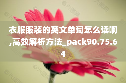 衣服服装的英文单词怎么读啊,高效解析方法_pack90.75.64