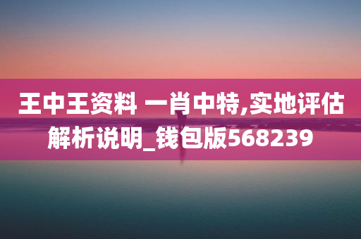 王中王资料 一肖中特,实地评估解析说明_钱包版568239