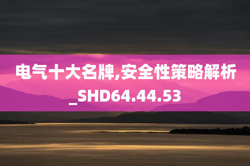 电气十大名牌,安全性策略解析_SHD64.44.53