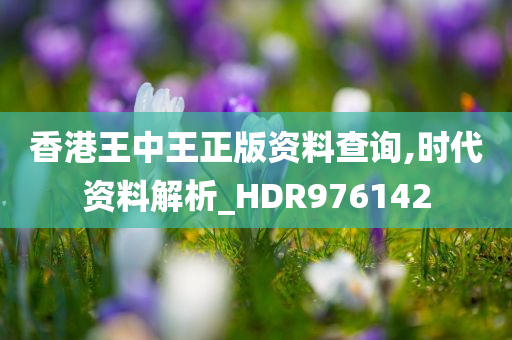 香港王中王正版资料查询,时代资料解析_HDR976142