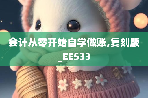 会计从零开始自学做账,复刻版_EE533