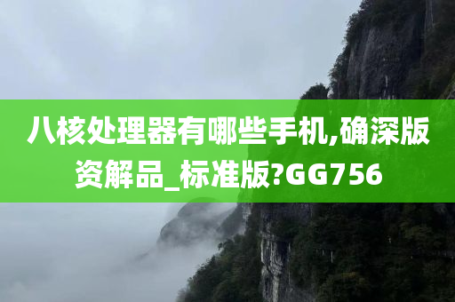 八核处理器有哪些手机,确深版资解品_标准版?GG756