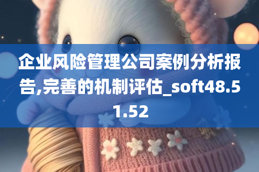 企业风险管理公司案例分析报告,完善的机制评估_soft48.51.52