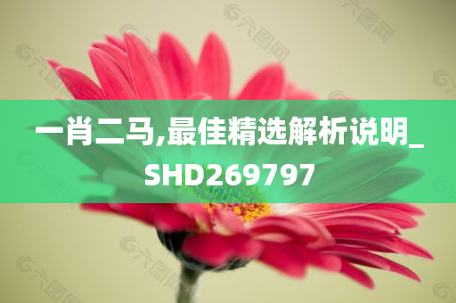 一肖二马,最佳精选解析说明_SHD269797