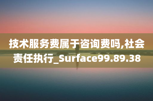 技术服务费属于咨询费吗,社会责任执行_Surface99.89.38